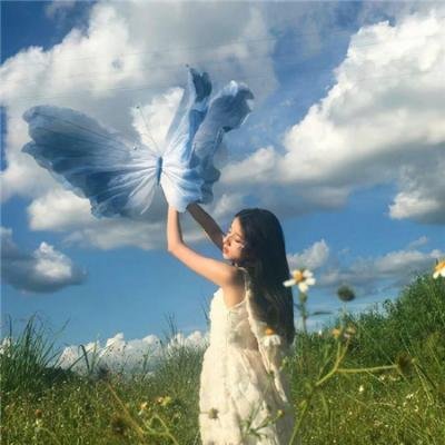 爱尔兰之愿